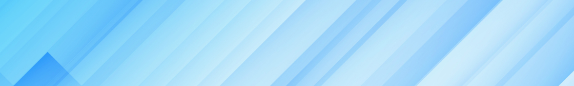 Custom Software Development